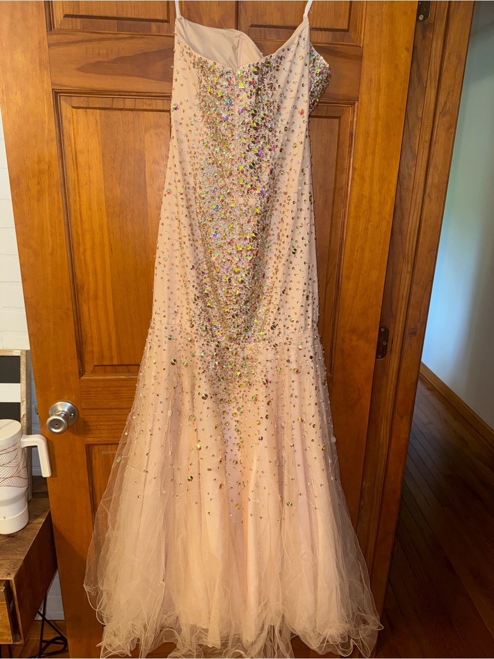 Terani Couture Beaded Nude Illusion Evening Dress
